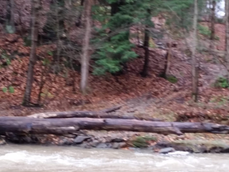 Six Mile Creek Park Greater Erie Regional Trails