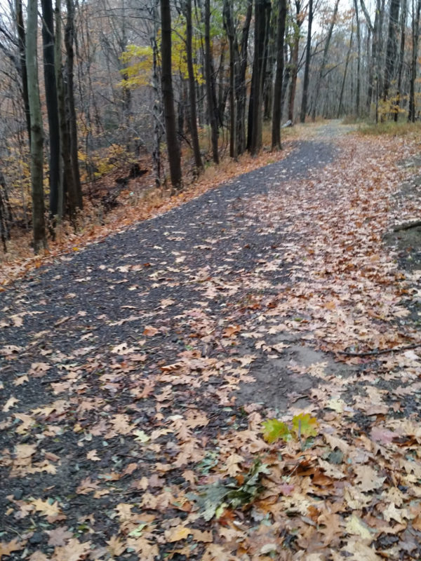 Six Mile Creek Park Greater Erie Regional Trails